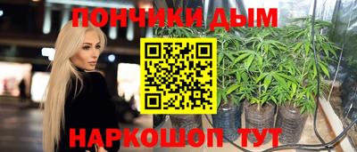 шишки Мирный