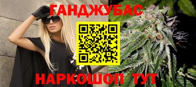 шишки Мирный