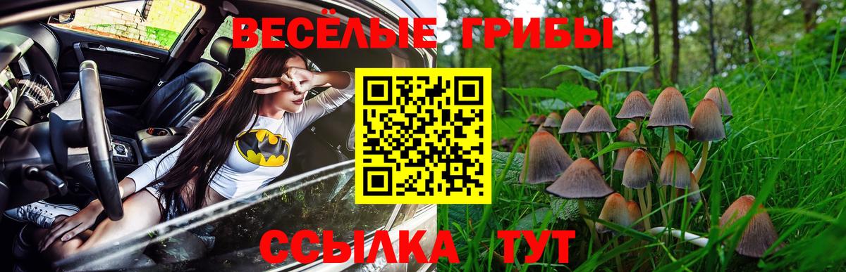 Минеральные Воды  Псилоцибиновые грибы ЛСД  Галлюциногенные грибы мухоморы  цены   Вход с VPN 